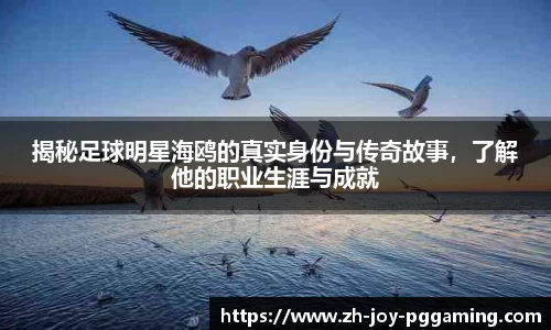 揭秘足球明星海鸥的真实身份与传奇故事，了解他的职业生涯与成就